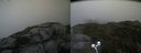 ./images/calvert/buxton2/20210827/buxton220210827_150502M.jpg