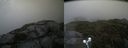 ./images/calvert/buxton2/20210827/buxton220210827_151002M.jpg