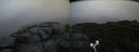 ./images/calvert/buxton2/20210828/buxton220210828_070502M.jpg