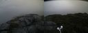 ./images/calvert/buxton2/20210828/buxton220210828_074002M.jpg
