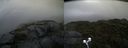 ./images/calvert/buxton2/20210828/buxton220210828_074503M.jpg