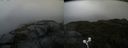 ./images/calvert/buxton2/20210828/buxton220210828_075003M.jpg