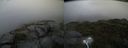 ./images/calvert/buxton2/20210828/buxton220210828_081503M.jpg