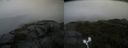 ./images/calvert/buxton2/20210828/buxton220210828_095502M.jpg