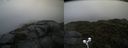 ./images/calvert/buxton2/20210828/buxton220210828_100002M.jpg