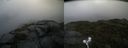 ./images/calvert/buxton2/20210828/buxton220210828_100502M.jpg