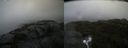 ./images/calvert/buxton2/20210828/buxton220210828_102502M.jpg