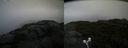 ./images/calvert/buxton2/20210828/buxton220210828_105002M.jpg