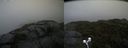 ./images/calvert/buxton2/20210828/buxton220210828_110503M.jpg