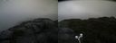 ./images/calvert/buxton2/20210828/buxton220210828_113503M.jpg
