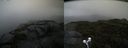 ./images/calvert/buxton2/20210828/buxton220210828_114003M.jpg