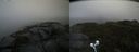 ./images/calvert/buxton2/20210828/buxton220210828_114503M.jpg