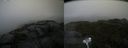 ./images/calvert/buxton2/20210828/buxton220210828_115503M.jpg