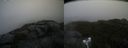 ./images/calvert/buxton2/20210828/buxton220210828_120503M.jpg