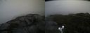 ./images/calvert/buxton2/20210828/buxton220210828_131502M.jpg