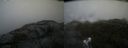 ./images/calvert/buxton2/20210828/buxton220210828_174502M.jpg