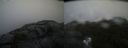 ./images/calvert/buxton2/20210828/buxton220210828_175502M.jpg