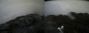 ./images/calvert/buxton2/20210828/buxton220210828_185502M.jpg