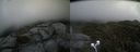 ./images/calvert/buxton2/20210830/buxton220210830_111002M.jpg