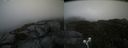 ./images/calvert/buxton2/20210830/buxton220210830_112502M.jpg