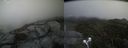 ./images/calvert/buxton2/20210830/buxton220210830_114003M.jpg