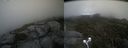 ./images/calvert/buxton2/20210830/buxton220210830_132502M.jpg