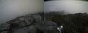 ./images/calvert/buxton2/20210830/buxton220210830_134002M.jpg