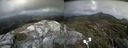 ./images/calvert/buxton2/20210830/buxton220210830_155002M.jpg
