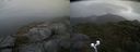 ./images/calvert/buxton2/20210903/buxton220210903_081003M.jpg