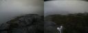 ./images/calvert/buxton2/20210903/buxton220210903_185003M.jpg