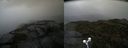./images/calvert/buxton2/20210904/buxton220210904_144503M.jpg