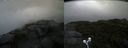./images/calvert/buxton2/20210904/buxton220210904_145503M.jpg