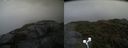 ./images/calvert/buxton2/20210904/buxton220210904_151503M.jpg