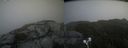 ./images/calvert/buxton2/20210907/buxton220210907_160003M.jpg
