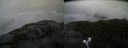./images/calvert/buxton2/20210908/buxton220210908_151003M.jpg