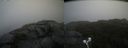 ./images/calvert/buxton2/20210908/buxton220210908_163502M.jpg