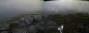 ./images/calvert/buxton2/20210910/buxton220210910_180503M.jpg