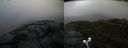 ./images/calvert/buxton2/20210910/buxton220210910_182002M.jpg