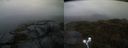 ./images/calvert/buxton2/20210910/buxton220210910_194503M.jpg