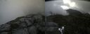 ./images/calvert/buxton2/20210911/buxton220210911_113503M.jpg