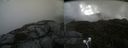 ./images/calvert/buxton2/20210911/buxton220210911_114003M.jpg