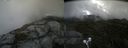 ./images/calvert/buxton2/20210911/buxton220210911_114503M.jpg