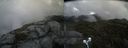 ./images/calvert/buxton2/20210911/buxton220210911_115503M.jpg