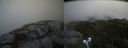 ./images/calvert/buxton2/20210912/buxton220210912_105503M.jpg