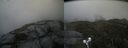 ./images/calvert/buxton2/20210912/buxton220210912_111003M.jpg