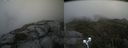 ./images/calvert/buxton2/20210912/buxton220210912_111503M.jpg