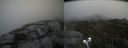 ./images/calvert/buxton2/20210912/buxton220210912_112003M.jpg