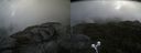 ./images/calvert/buxton2/20210912/buxton220210912_131003M.jpg