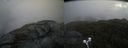 ./images/calvert/buxton2/20210912/buxton220210912_132503M.jpg