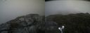 ./images/calvert/buxton2/20210912/buxton220210912_141002M.jpg